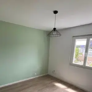 démoussage toiture Nort-sur-Erdre-1